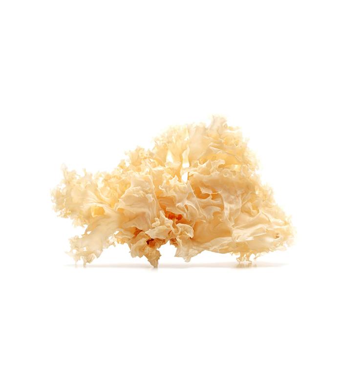 vg-vaf-m-8.jpg Dried White Fungus - Imagem 1